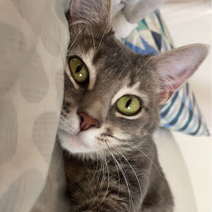 Meet your Posher, Anna